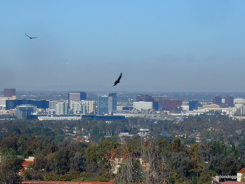 3145058447_3e21b68641