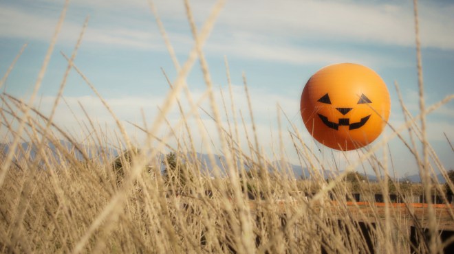 its-the-great-park-balloon-pumpkin