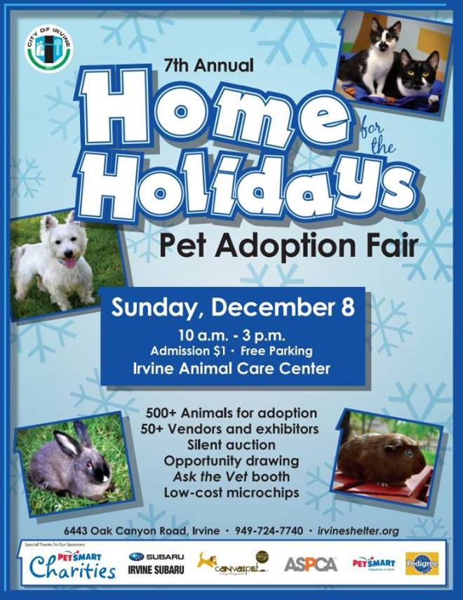 Irvine Animal Care Center, Melissa Fox, Melissa Fox for Irvine, melissafoxblog, melissajoifox