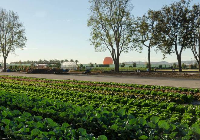 incredible.edible.farm.01