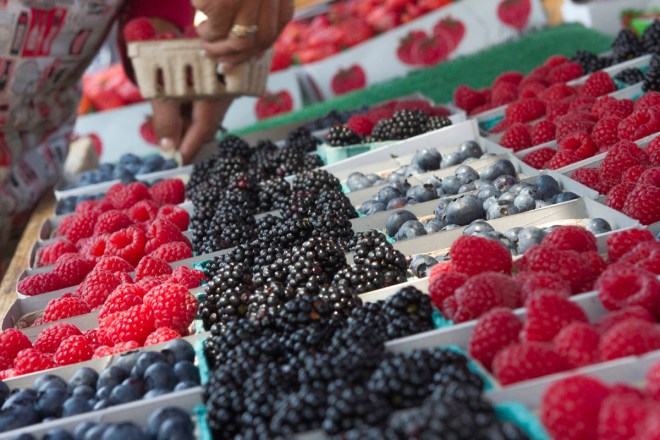 Melissa Fox, Irvine Commissioner Melissa Fox, melissajoifox, melissafoxblog.com, melissafoxblog, Melissa Fox blog, Melissa Fox for Irvine City Council 