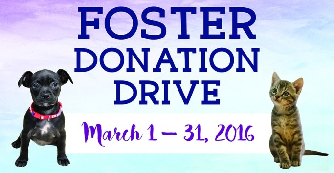 2016FosterDriveWebGraphic