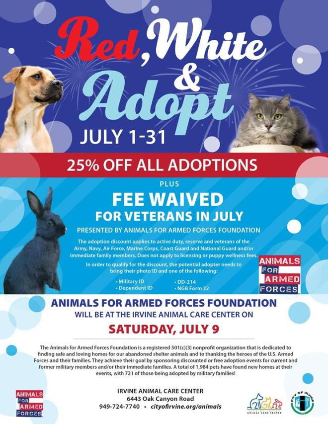 13580521_10154396717239379_5794811543085918012_o