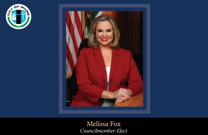 incoming-reception-fox-02