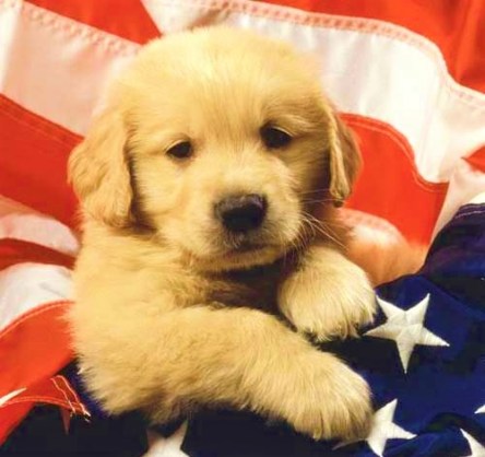 2889fd0babeec81fb068cda2be897ed1--red-white-blue-yellow